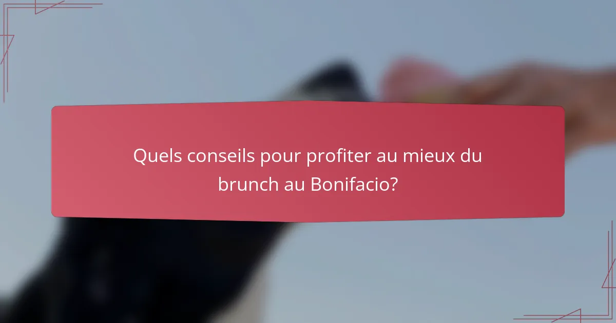 Quels conseils pour profiter au mieux du brunch au Bonifacio?