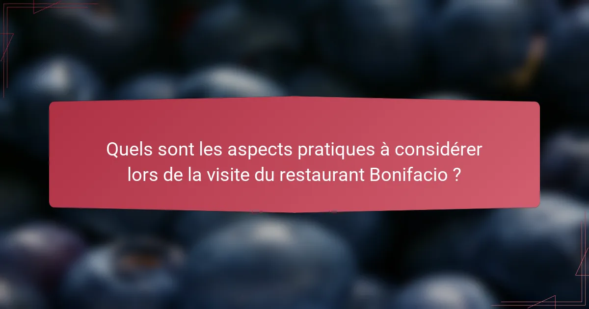 Quels sont les aspects pratiques à considérer lors de la visite du restaurant Bonifacio ?